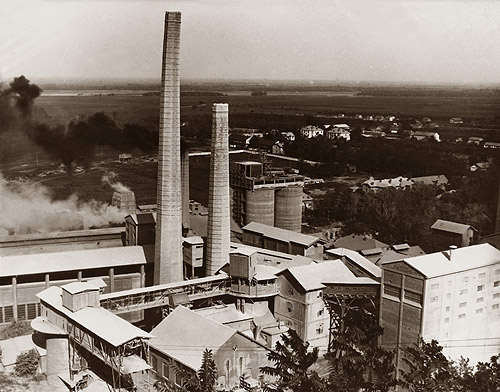 Фабрика 1953. године